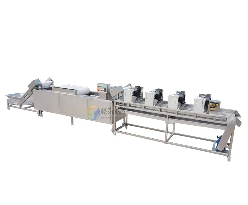 Dried oribest mandarine and orange citrus dragon vegetable fruit sorting machine