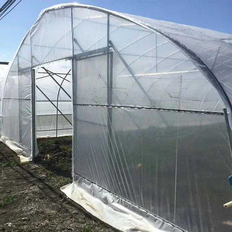 Agricultural dome shape greenhouse structure galvanized steel hydroponics tunnel green house