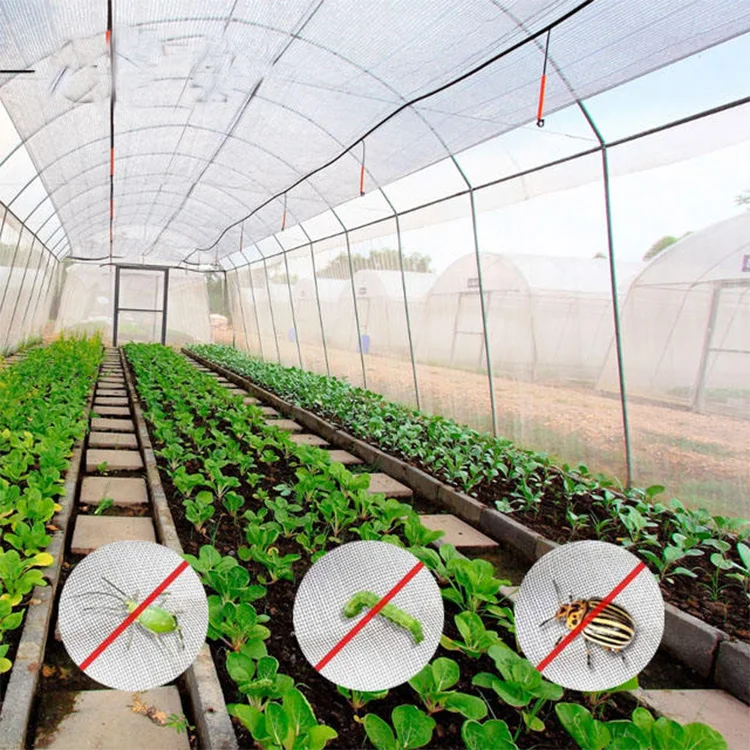 40 Meshes Anti Insect Nets Bird Plants Farm Vegetable Pest Control Garden Screen Household China Manufacturer OEM Fruit Tree