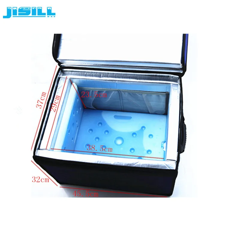 4L Thermal Insulated Insulin Vial Cooler Chiller Box With PCM Ice Bricks