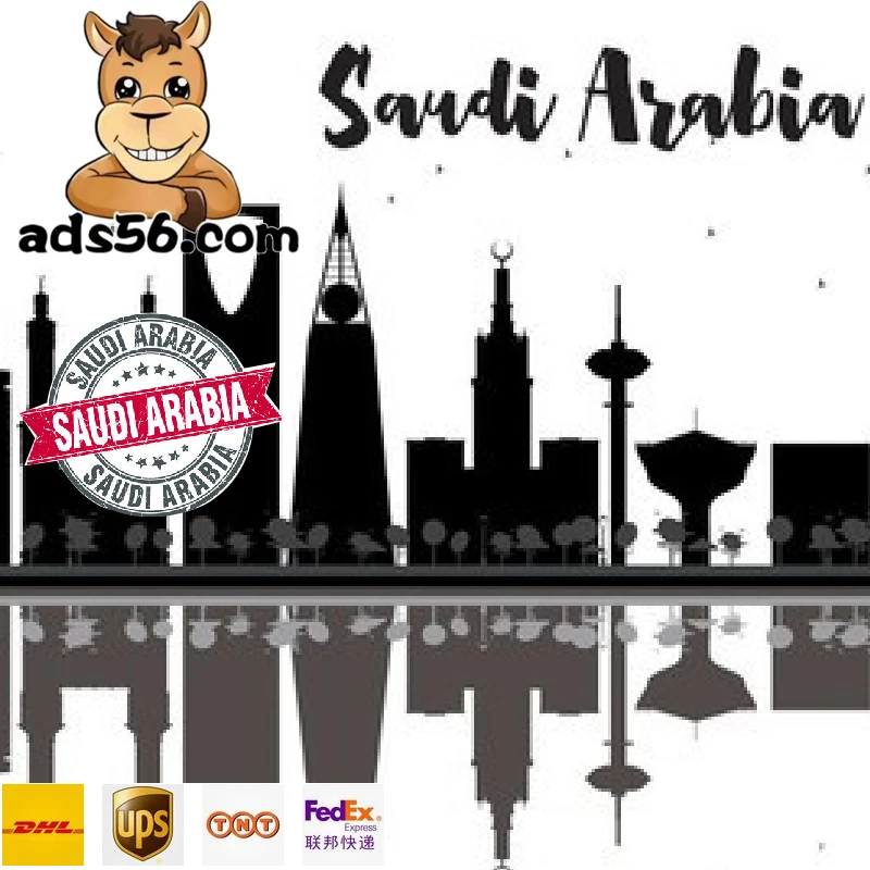 Door To Door Sea/Air Freight Aramex Express Courier Service Shipping To Saudi Arabia -Whatsapp:+86 15527506803