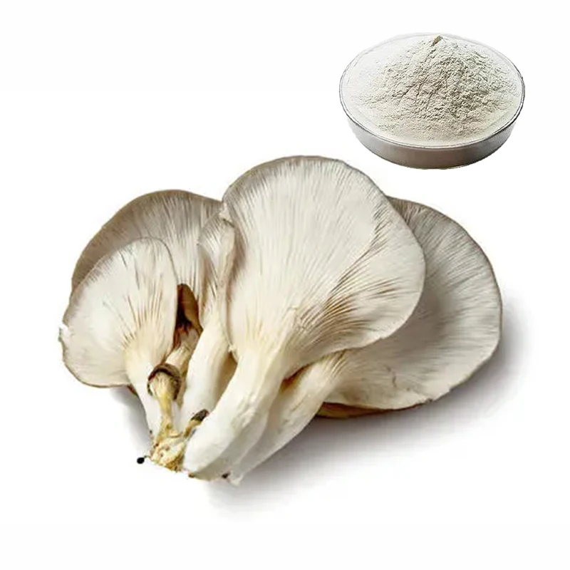 wholesale Food Grade Vegan Mushroom Chitosan HCL Powder for Wound and Skin Care