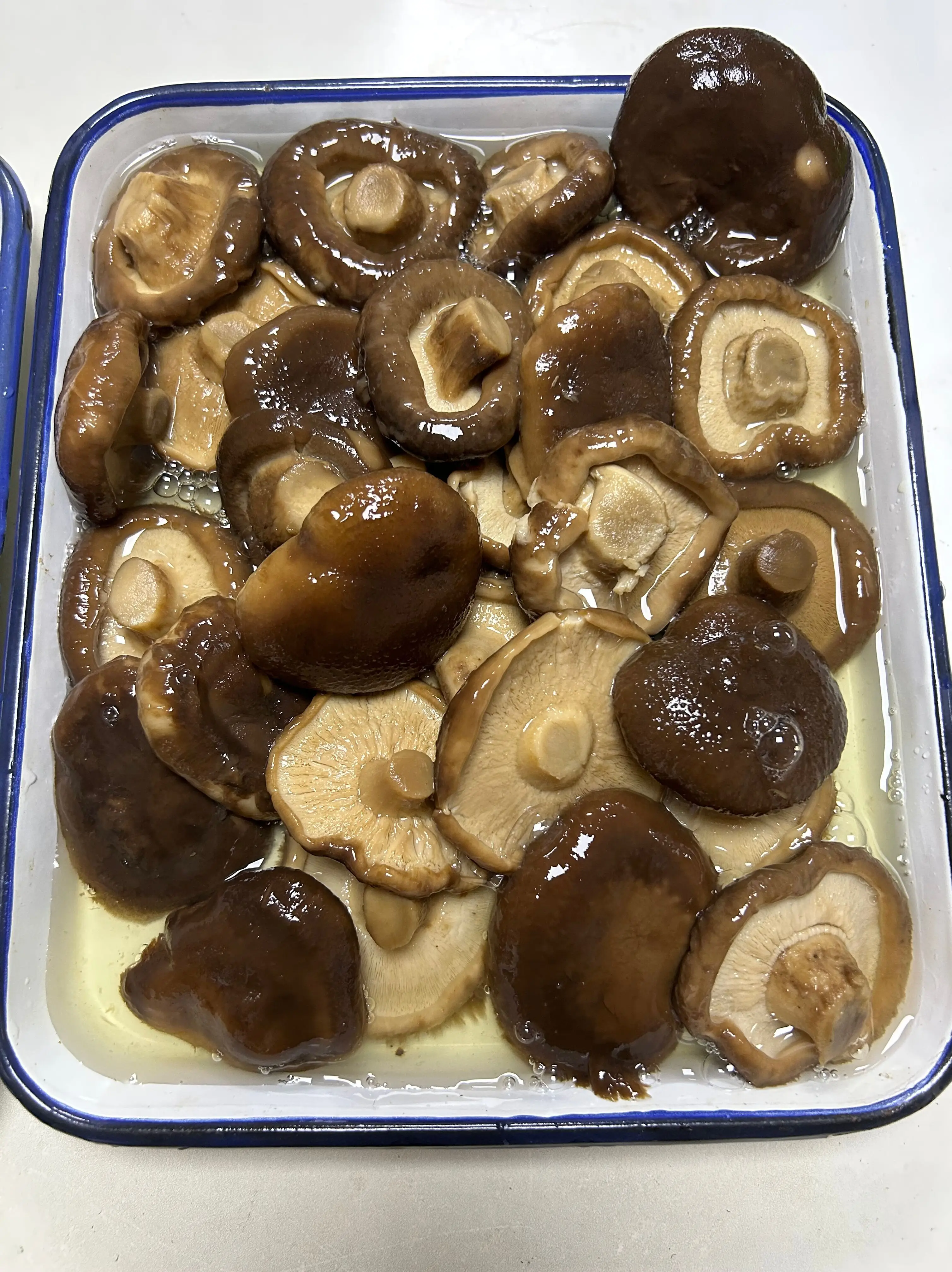 HALAL Certified Canned Shiitake Mushroom in Brine Canned Vegetables