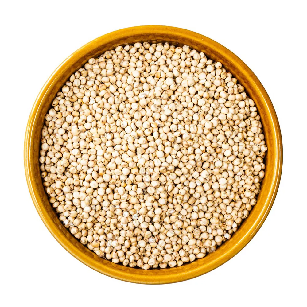 BEST quality Organic white sorghum seeds high grade good quality healthy food raw available in bulk quantity at wholesale price