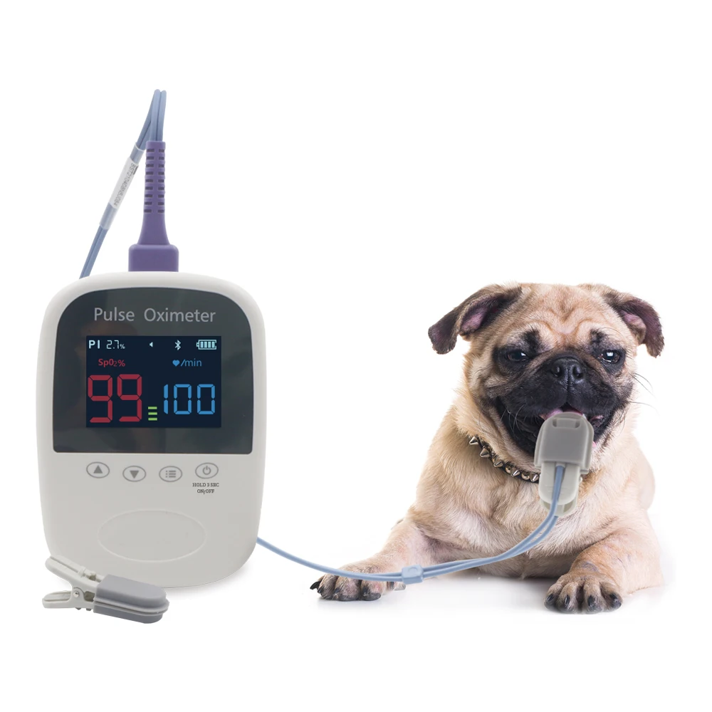 Berry Portable Cheap VET Vital Signs Veterinary clinic patient monitor equipment with Pulse