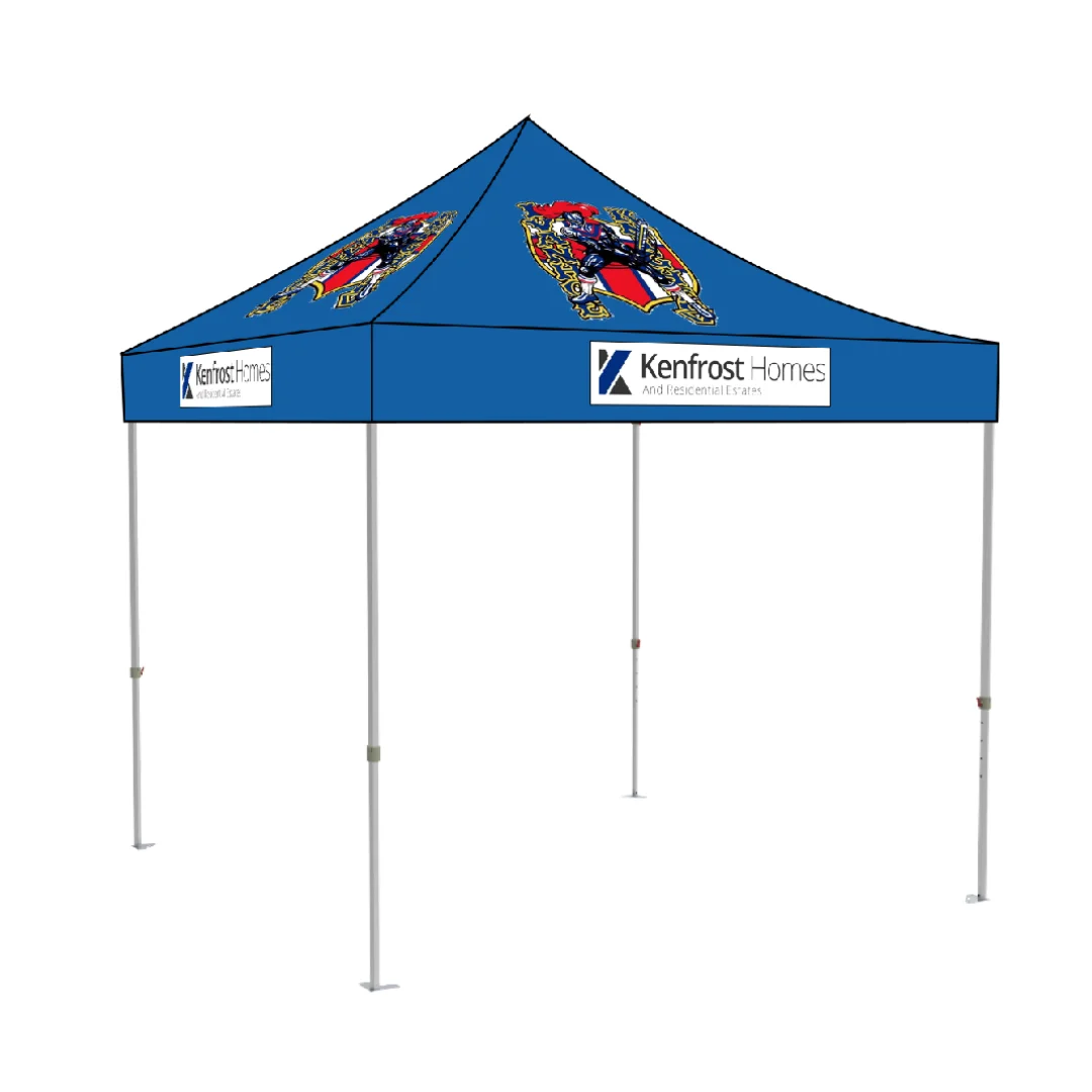 steel Frame High Quality Easy Up tent party wedding family canopy 0710ft  Canopy Tent with a top can be customized