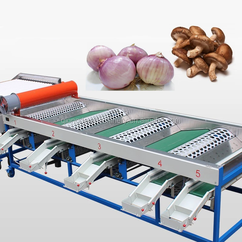 Vegetable/fruit sorting machine Passion fruit Cherry pear pomegranate persimmon litchi Strawberry blueberry grading machine
