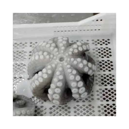 Good Price High Quality Frozen Giant Octopus Peru Octopus Big Octopus