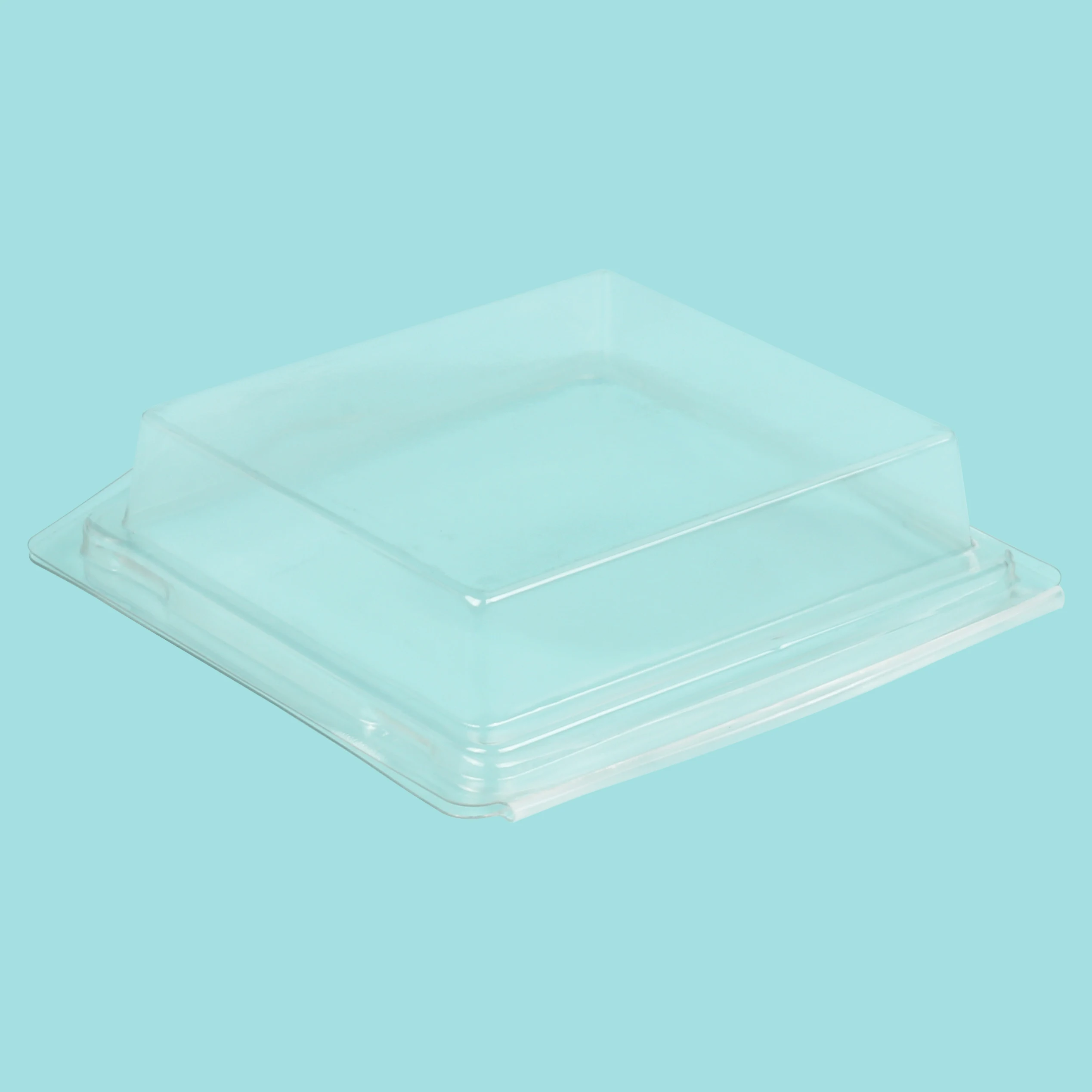 Custom PET/PVC Clamshell Packaging Blister Tray Packaging for Consumer Electronic Products Packaging