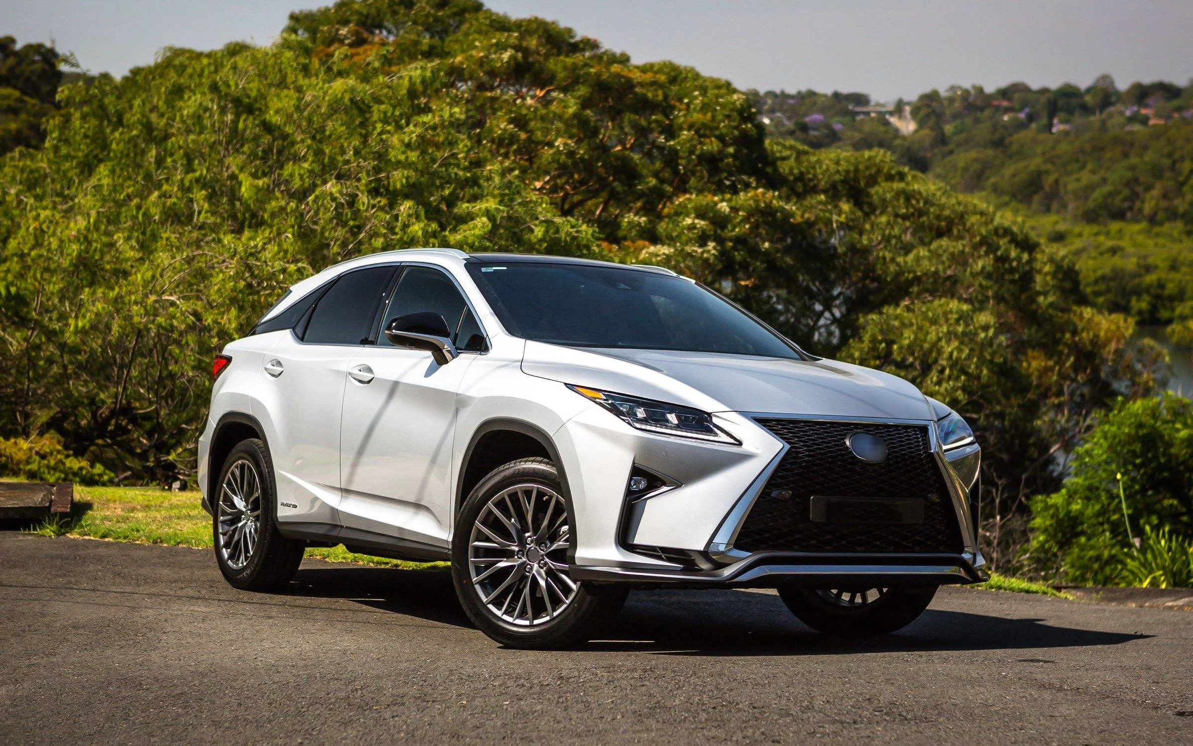 Автомобильные решетки для Lexus RX сменный на высококачественный автомобильный