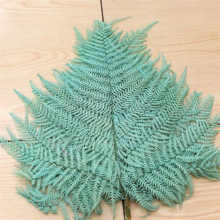 
2020 Amazon Hot sale Home decorative flowers Big Fern Leaf Real Natural Preserved flower Fern leaves 