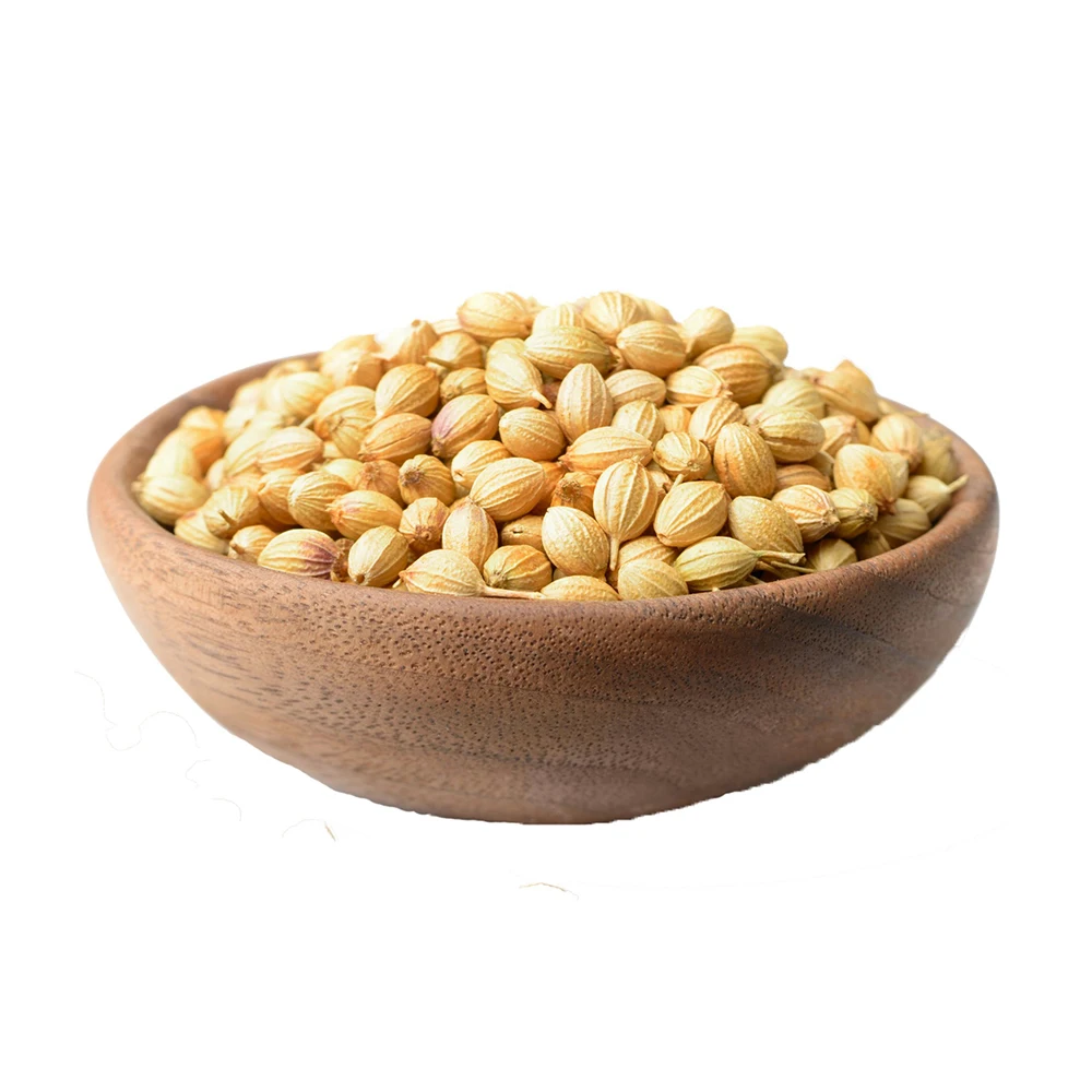 Coriander Seeds Good Quality Coriander Seed Price Cooking Food Coriander