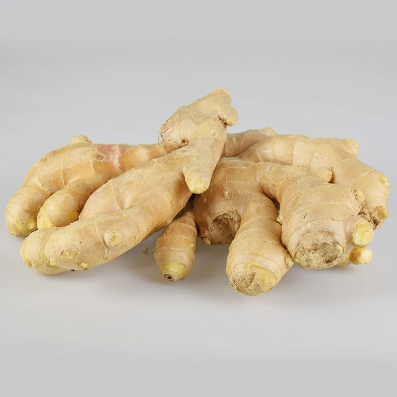 Свежий имбирь оптом, поставка органического нового свежего имбиря