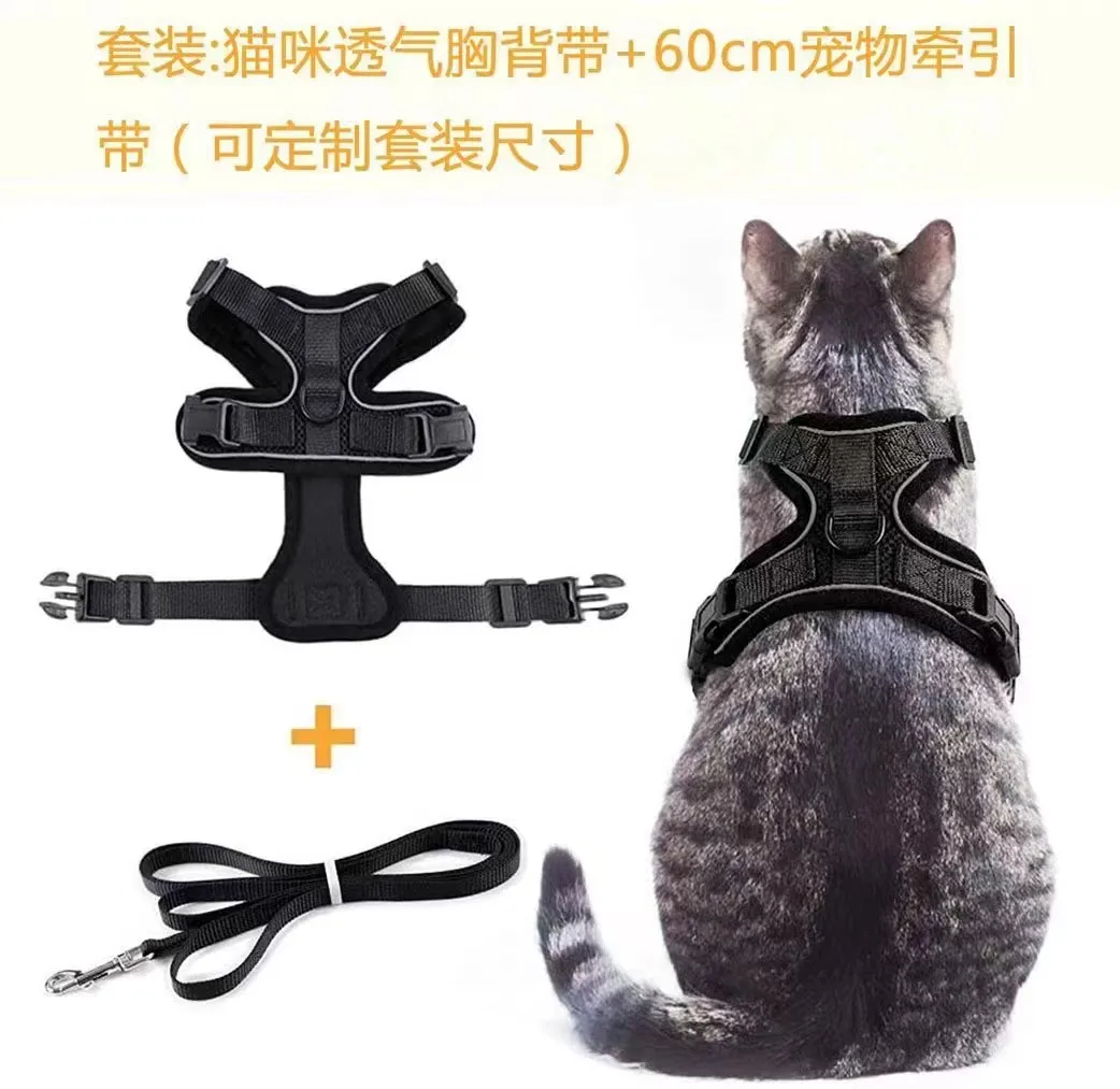 Custom Adjustable Teddy Dog Leash and Harness Set Manufacturers Step in Luxury Pet Dog Cat Harness Vest Set for Small Dog Cat