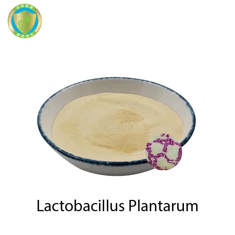 The Latest Design Fish Feed Additives Lactobacillus Plantarum Probiotic Powder