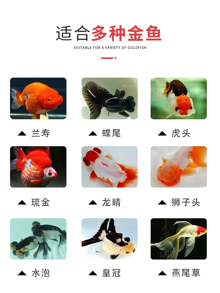 Indoor Small Aquarium Ornamental Fish Goldfish Automatic Feeder Timing Pet Feeder Intelligent Battery Powered