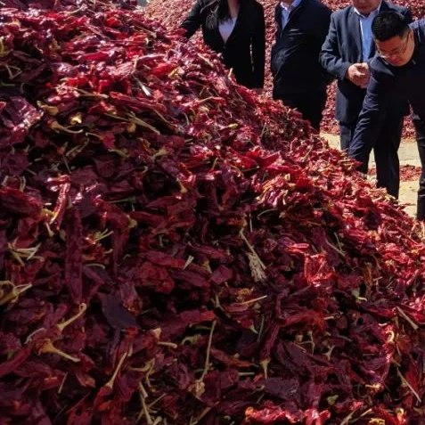 Fumanxin Sweet Paprika Spice Hot chilli Spices Chilli Paprika Supplier Chilies and Hot Spices Paprika Powder and Cayenne Pepper Powder