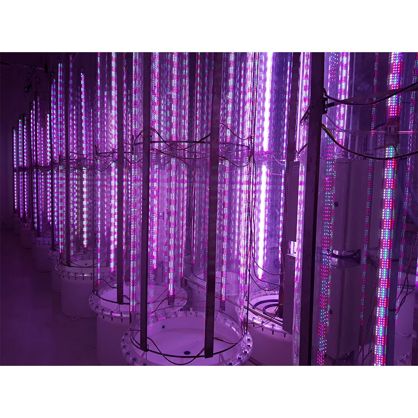 Sustainable cultivation of microalgae with dimming led for energy production