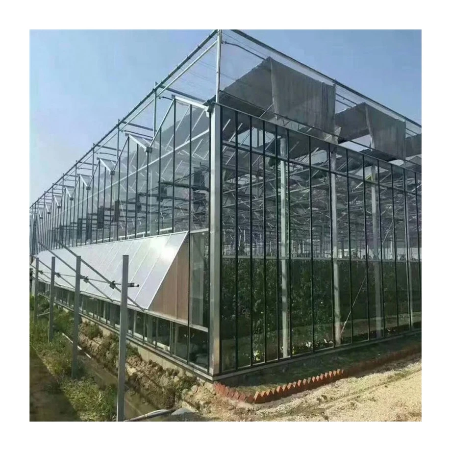 
Cheap custom greenhouse glass agricolture modern glass greenhouse garden small mini glass greenhouse 