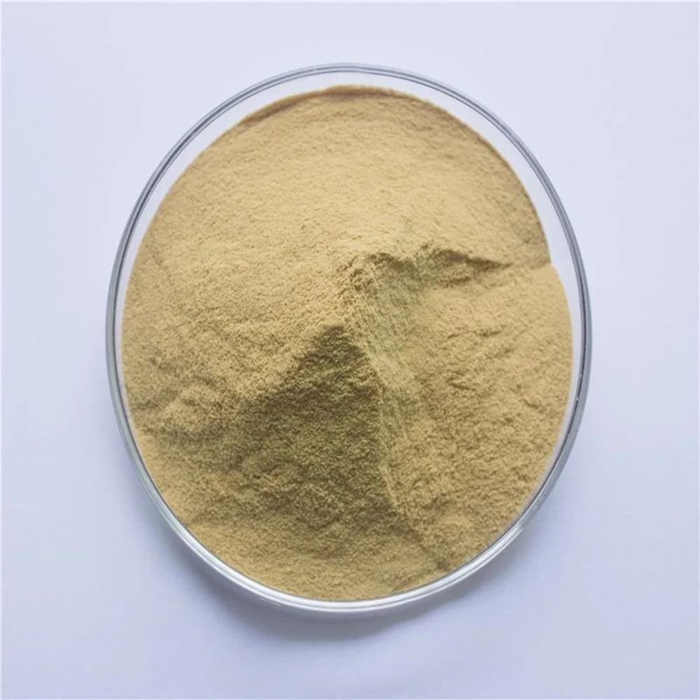 High Quality Luo Han Guo Extract Powder Mogroside V 80% Luo Han Guo Extract