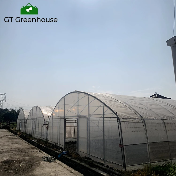 GT Outdoor Agriculture Commercial Plastic Film Tunnel Green House Metal Frame