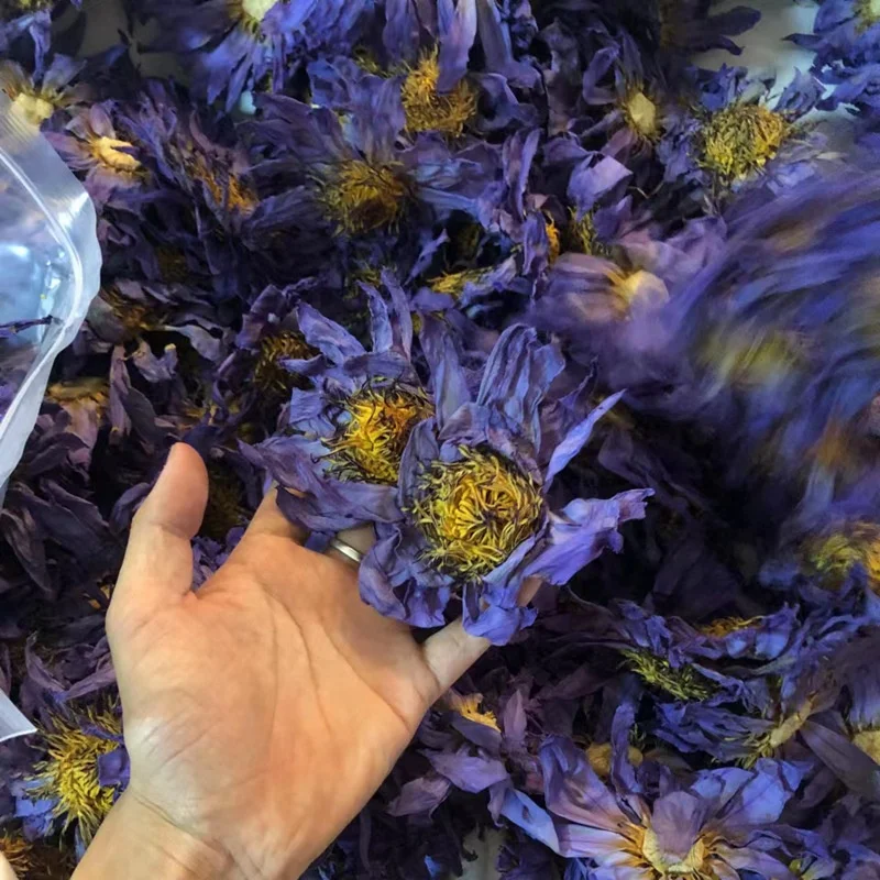100 g a per one bag sample link in Bulk Nymphaea tetragona wholesale Nymphaea L.Blooming Tea water lily Dried Blue Lotus Flowers