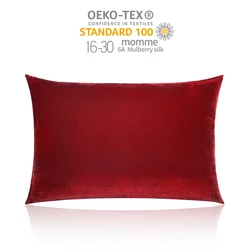 Mansphil Velvet Soft And Warm Soild Decorative Pillow Covers Cushion Covers