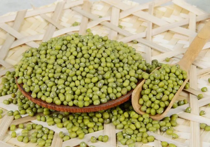 Сельскохозяйственная продукция глубоких в горах съедобные органические зеленые бобы