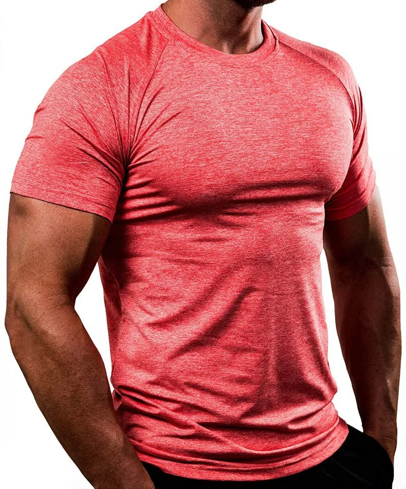 AOLA High Quality Custom Fitness T Shirt Men Factory OEM ODM Wholesale Compression Clothing Workout Sports Gym Tops Clothing