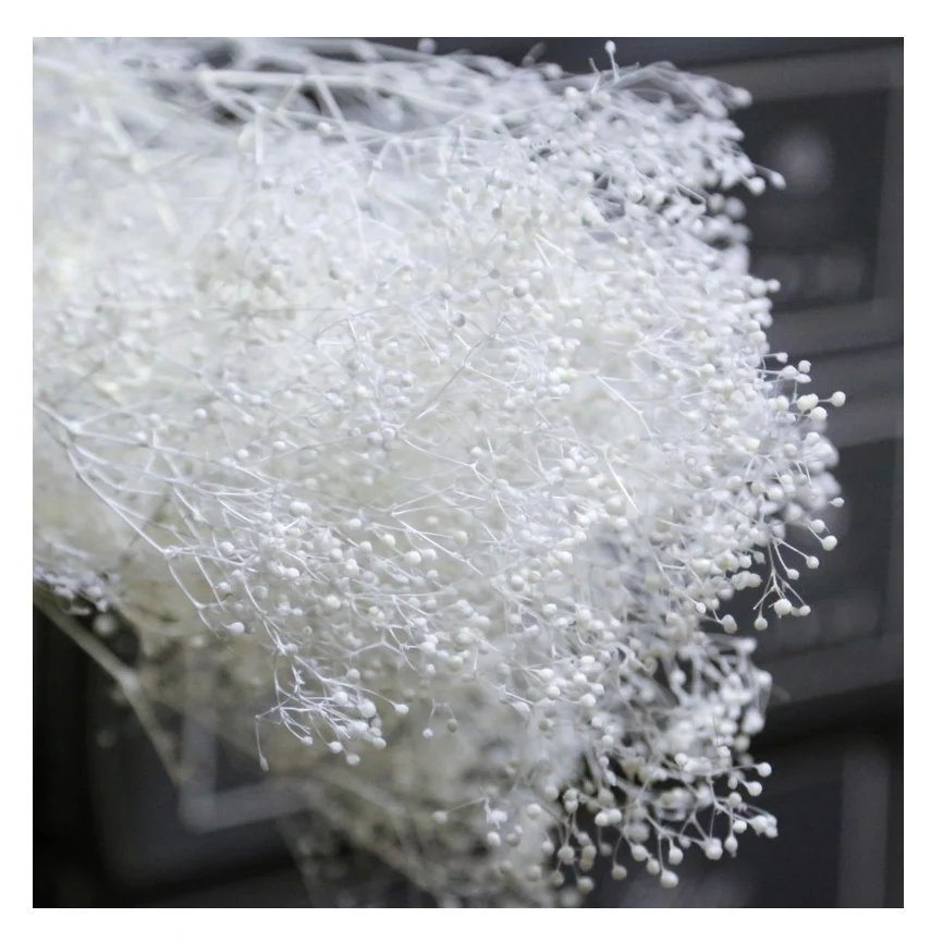 Preserved flowers dried million star flowers preserved gypsophila flower for decor