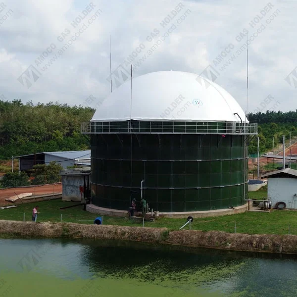 High Quality Membrane Biogas Storage Roof for Biogas Digester Tank in Turkey