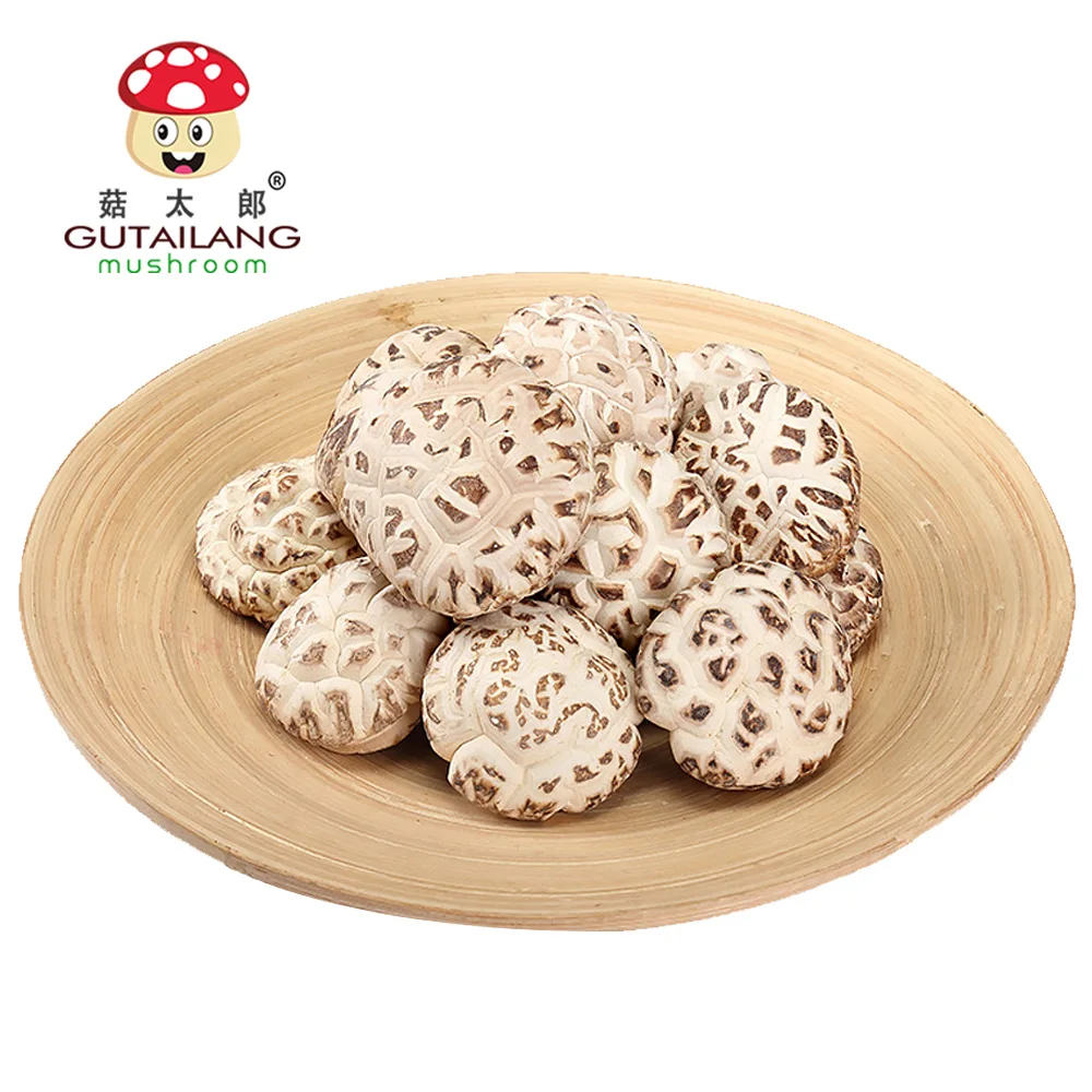 Factory Wholesale Direct Plant Mushroom Hot Sale Dried White Flower Shiitake Flower Mushroom Customized Sizes