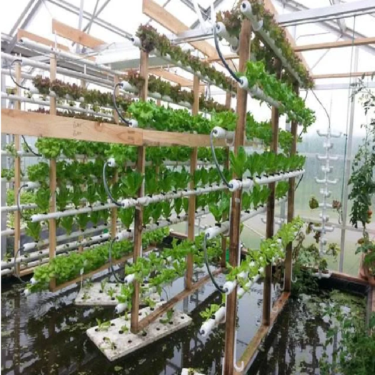 Высококачественная система гидропонного выращивания теплиц Smart Farm NFT