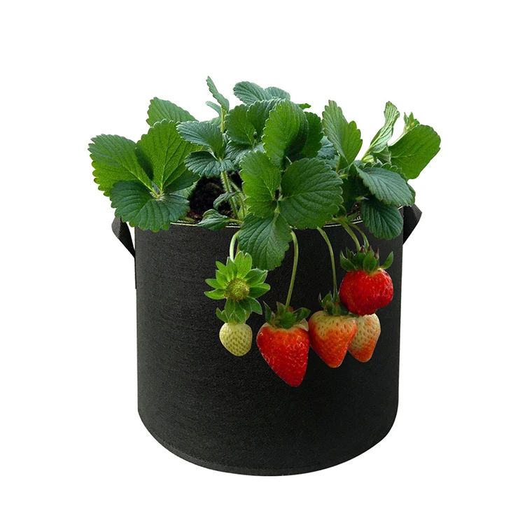 Black Bag White Vertical Garden Biodegradable Wholesale Agriculture Geotextile Planting Heavy Duty 2 Cal 100 Gallon Grow Bags