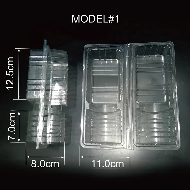 Recycled PET Plastic Flower Pots Flower Sapling Seedlings Live Plants Bonsai Transportation Protective Box