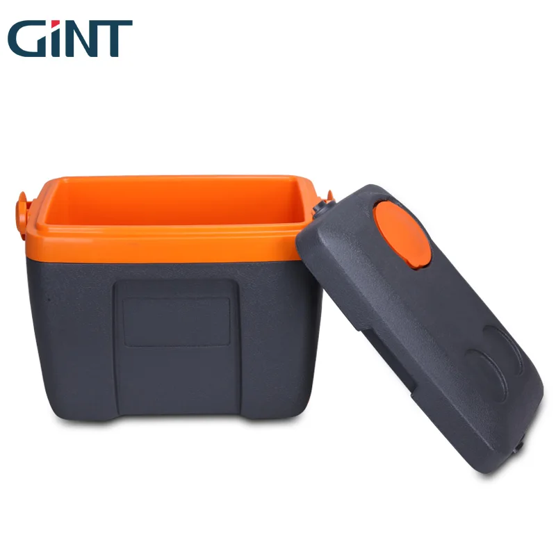 Factory PU Foaming Mini Fish Cooler Box Small Capacity 10L Cooler Box Fruit Container with Lid and Strap