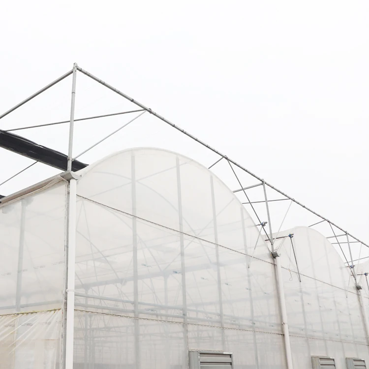 MYXL low cost commercial plastic film agricultural greenhouse manufacturer for sale