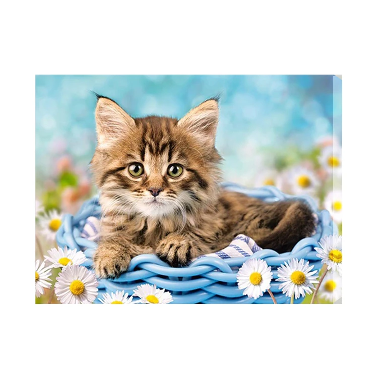 Набор для алмазной живописи «сделай сам», картина 5D с милыми животными, Сибирская кошка, для взрослых, Южная Корея, Лидер продаж
