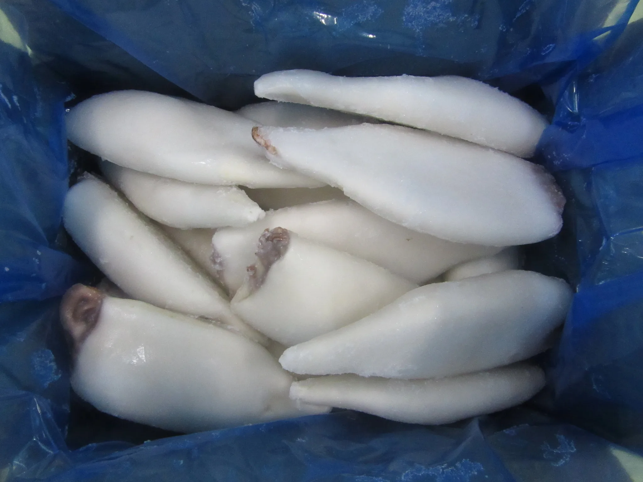 Customizable Factory Price For Sale 5 Kg Frozen Seafood Squid Seafood frozen gigas squid tube
