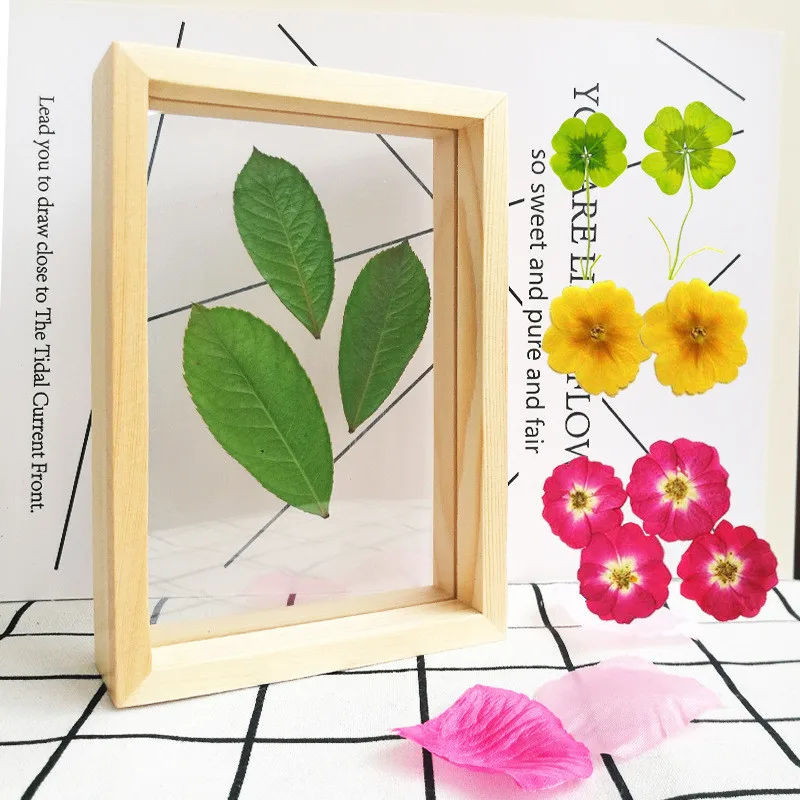 Promotional A4 Wood Double Sided Glass DIY Frames Simple Plant Specimens Frame Home Decor Photo Frames Ornaments Decoration Craf