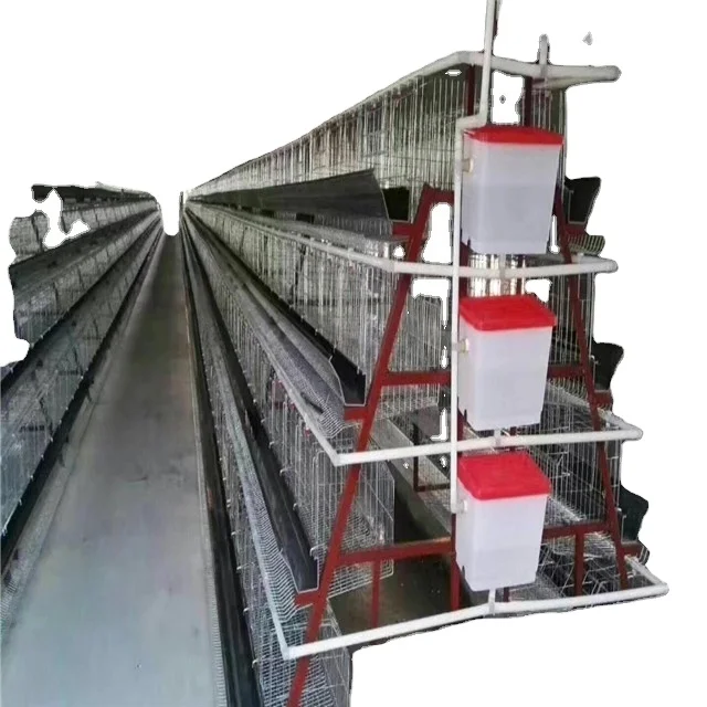 A Type Layer Chicken Cage