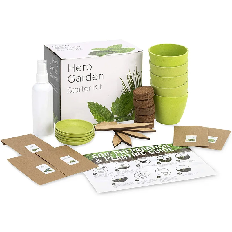 Corrosion Resistant Degradable  Starter Planting Bonsai Kit -DIY Indoor Bonsai Tree Kit