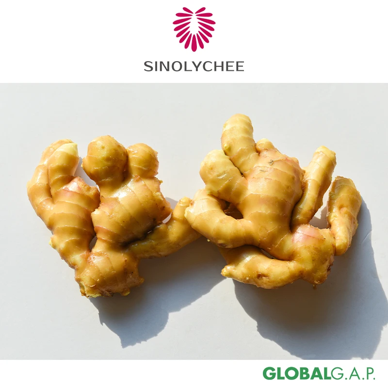 Chinese Export Fresh Ginger Dried Ginger For Sale Wholesale Price