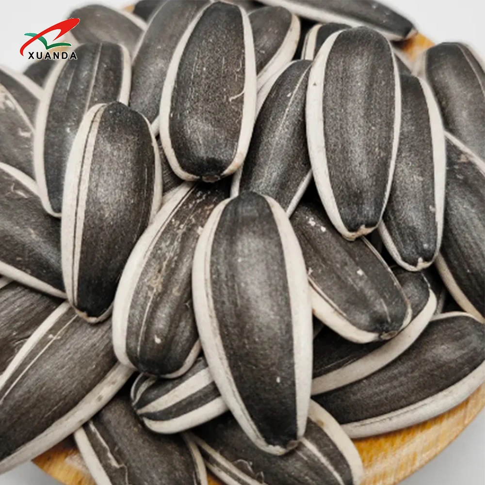 363 new crop sunflower seeds best price and quality seeds from China Inner Mongolia