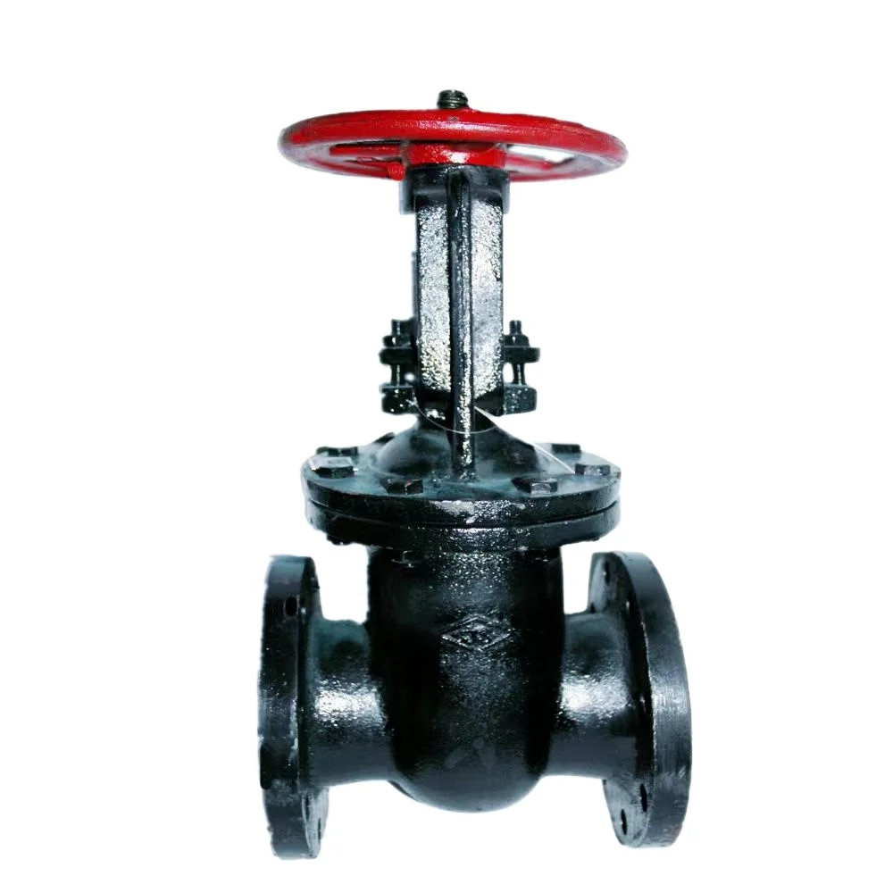 RISING STEM WEDGE GATE VALVE
