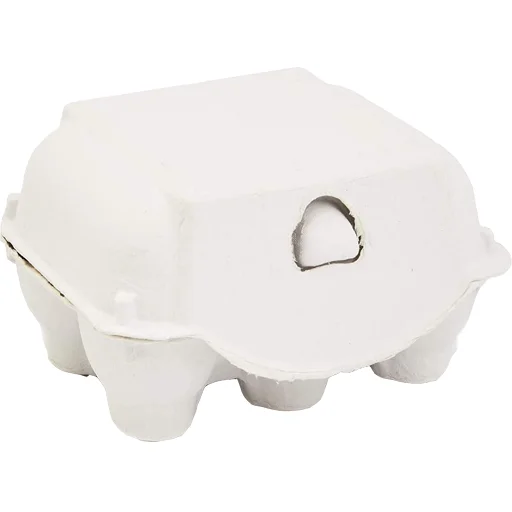 White 6 holes egg holder quail egg trays with lid Biodegradable pulp egg carton 6 sets holes wholesale supplier custom