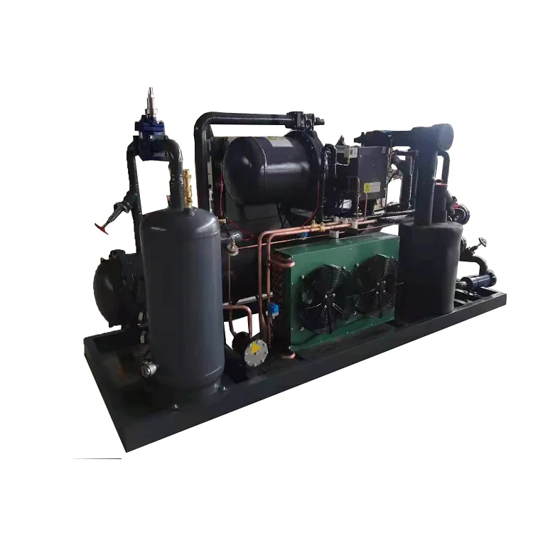 Industrial Shell and Tube Evaporator Refrigeration Monoblock Compressor Condensing Unit Low Temp Screw Parallel Unit For Fusheng