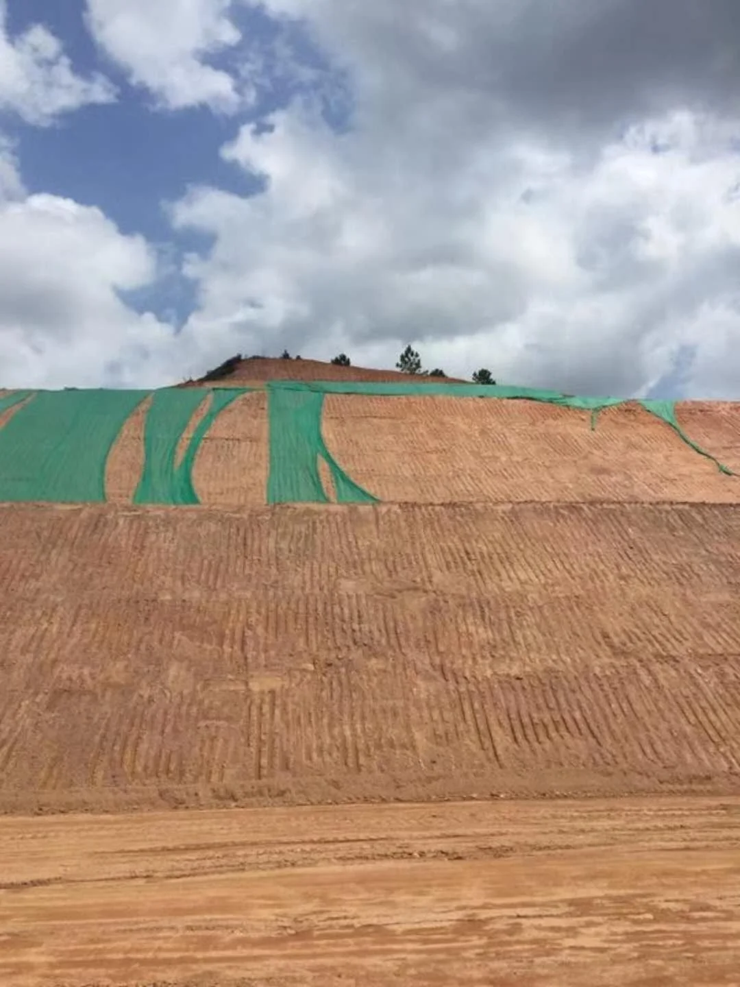 Guangzhou coconut palm net, coconut mat fiber net, coconut net geotextile are used for greening the mining area