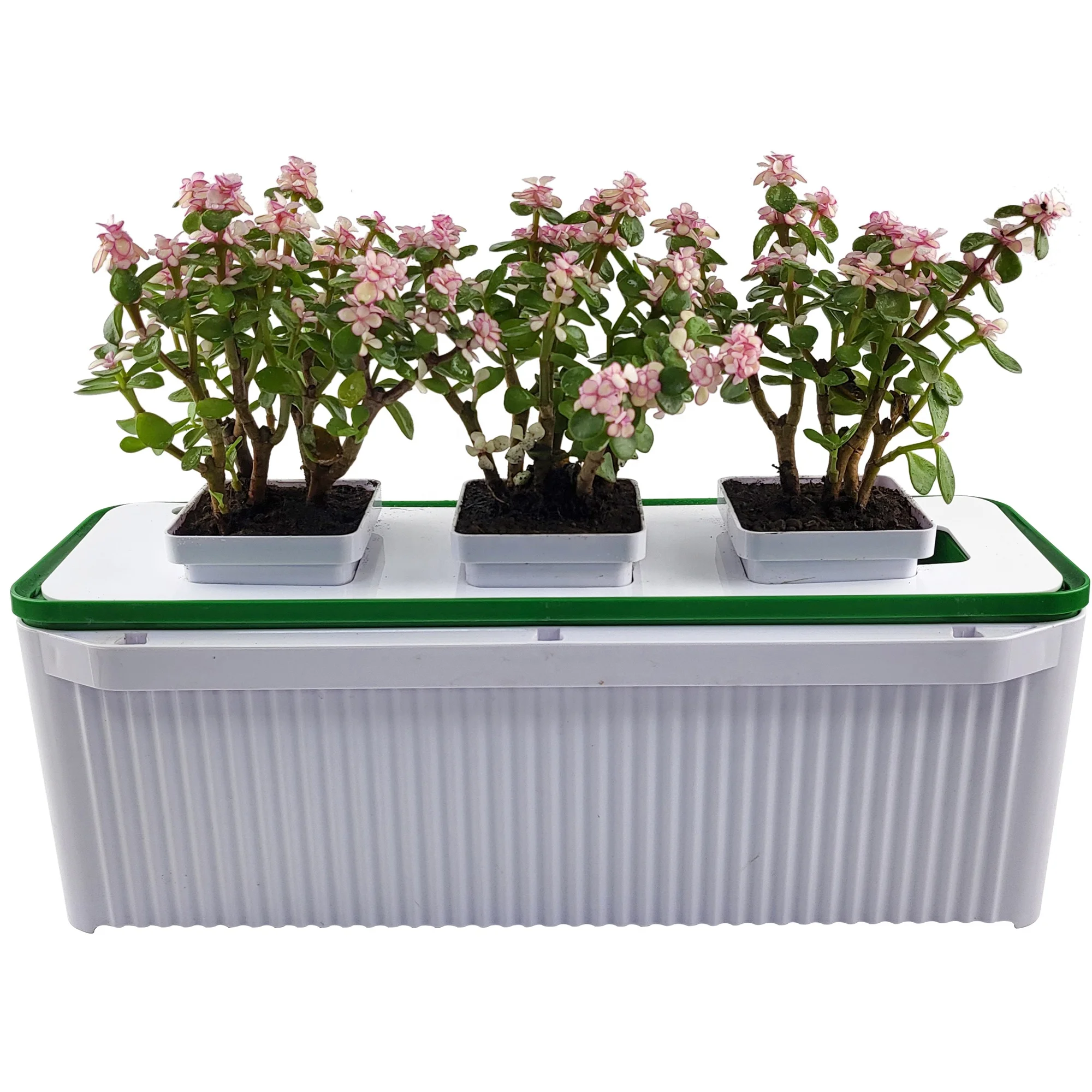 complete hydroponic growing systems hydroponic rock wool cubes for lettuce growing complete hydroponic growing systems