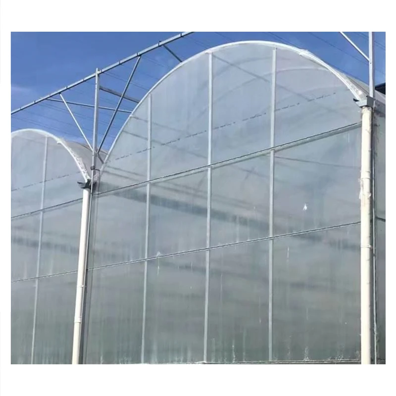 24/7 Wind Resistance & Durability at an Affordable Cost - Greenhouses
